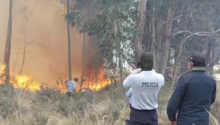 Incendio forestal en Collamarca, Chiguata, afectó 15 héctareas