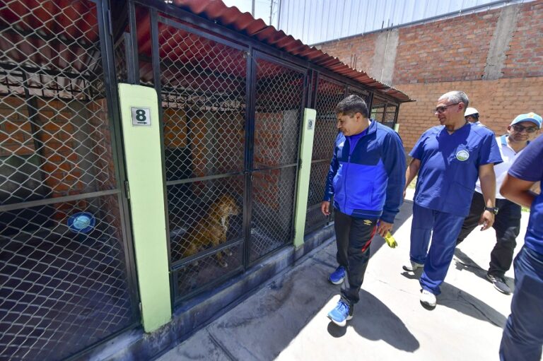 Arequipa amplía Centro Canino Municipal para mejorar atención a mascotas