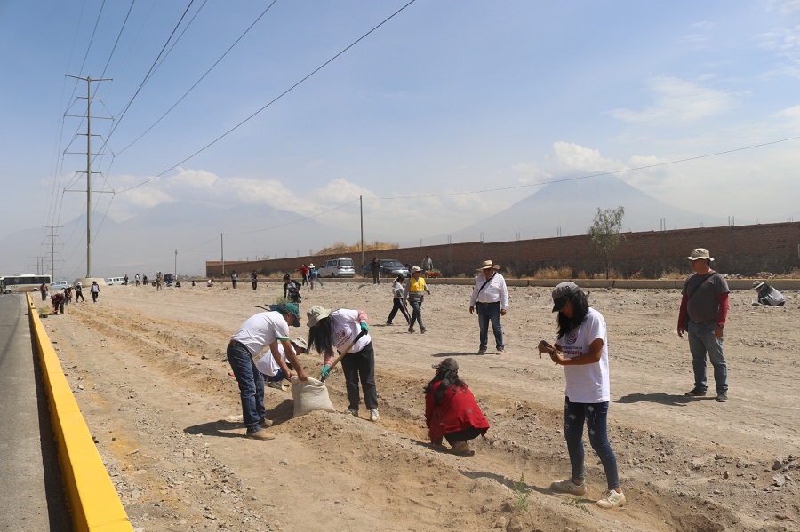 Ferorestación Sabandía. Foto de Gerardo Ramos