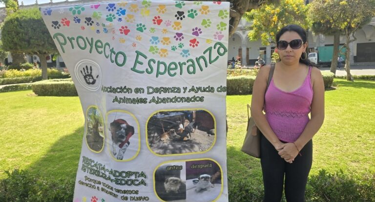 Realizan pollada para solventar albergue de animales abandonados “Proyecto Esperanza AQP”