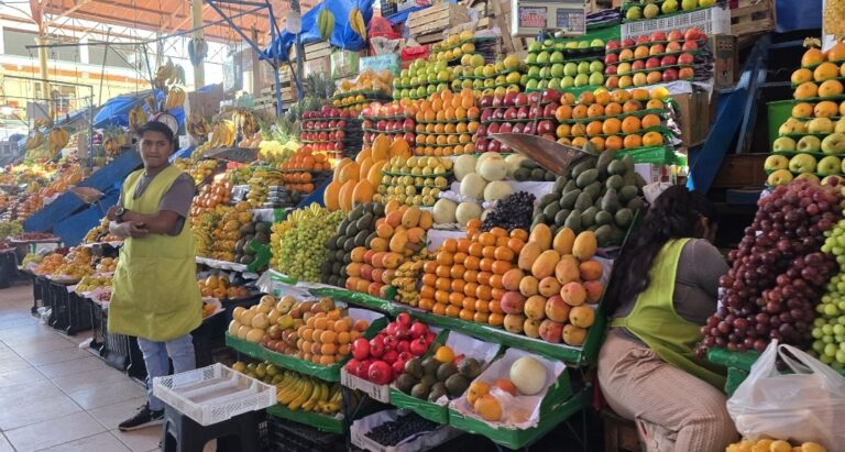 Precio de frutas se incrementa en un 40% por bloqueos en la Panamericana Sur