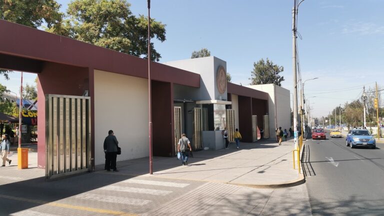 estudiantes CURSOS DE VERANO UNSA. Foto de Gerardo Ramos