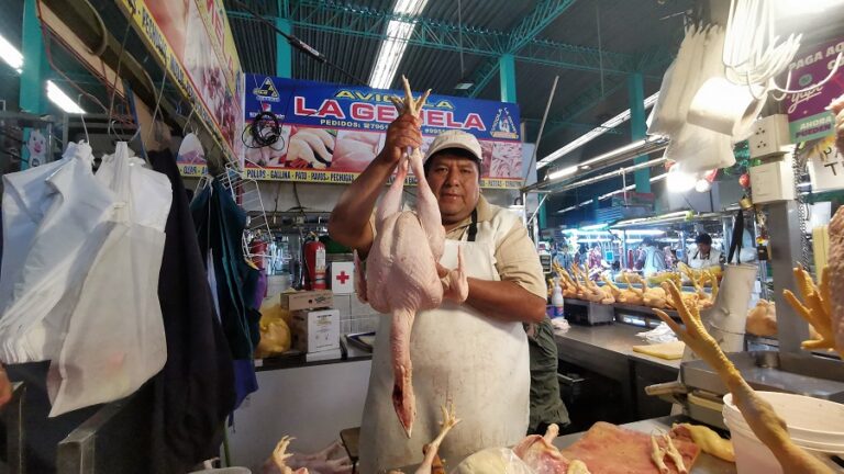 PRECIO-DE-PAVO-MERCADO-AVELINO-CACERES.-FOTO-DE-GERARDO-RAMOS.