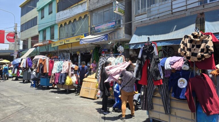 Ambulantes afectan ventas en el Avelino