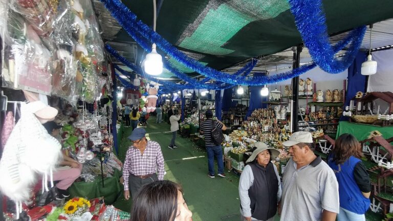 inspeccion-ferias-navidenas.-Foto-de-Gerardo-Ramos