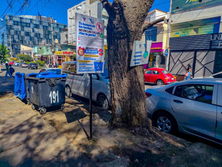 OEFA verifica 31 puntos críticos de residuos sólidos en el Cercado de Arequipa