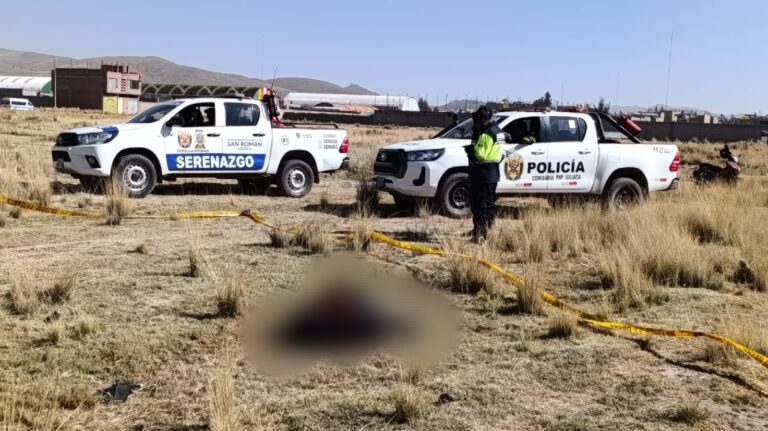 Hallan cadáver de varón devorado por perros en la salida de Puno