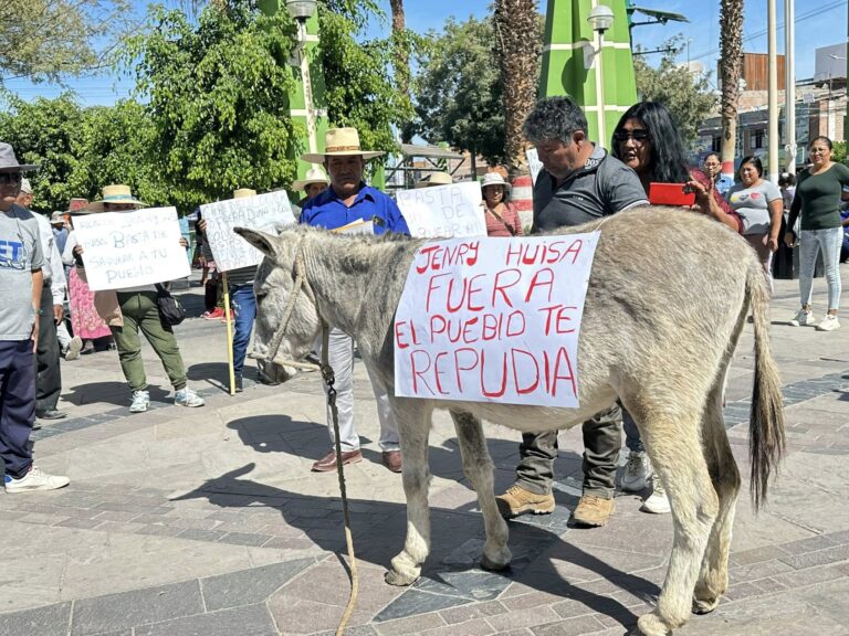 Pobladores llevan “burro” a protesta contra alcalde de Majes, Jenry Huisa