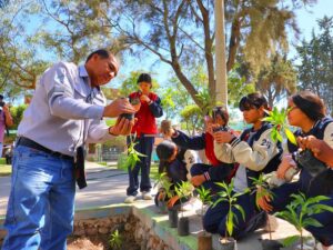 reforestación en Bustamante y Rivero