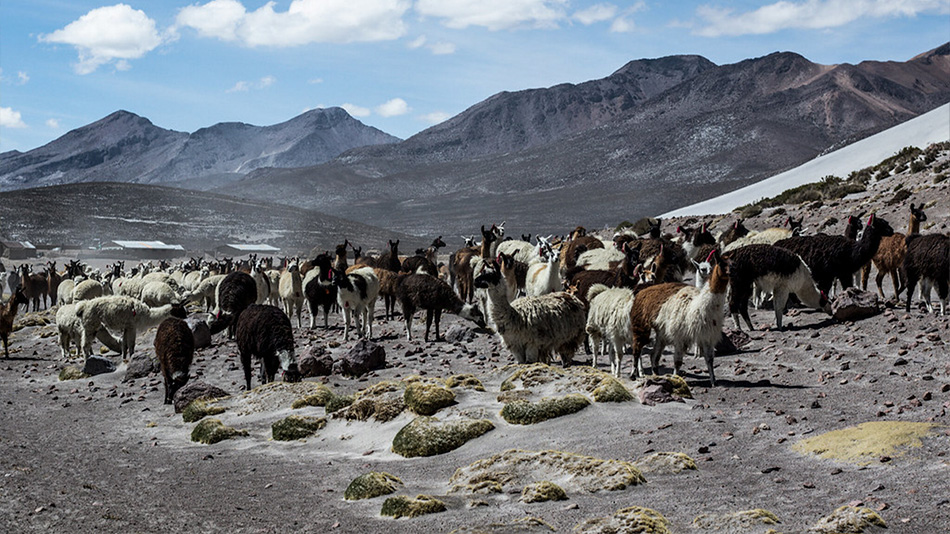Reserva de Aguada Blanca