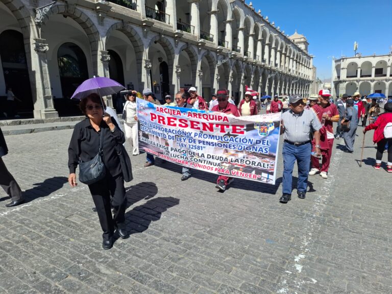 docentes