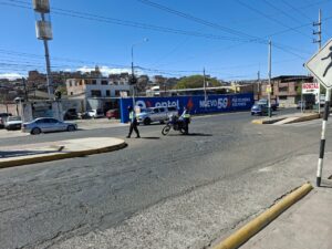 Paisajista