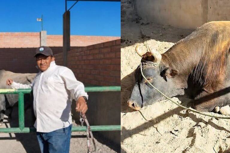 pulmón