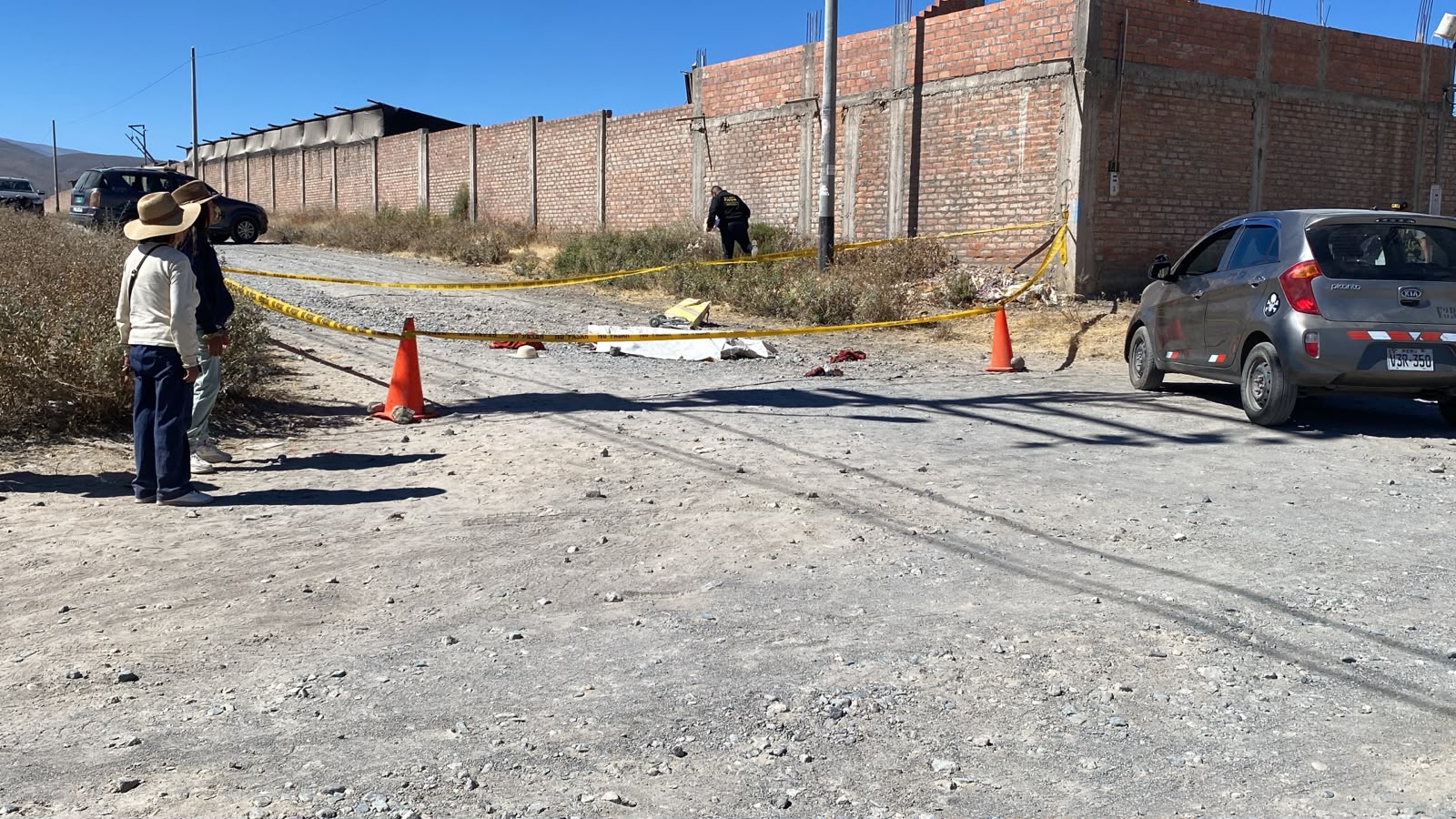 perros