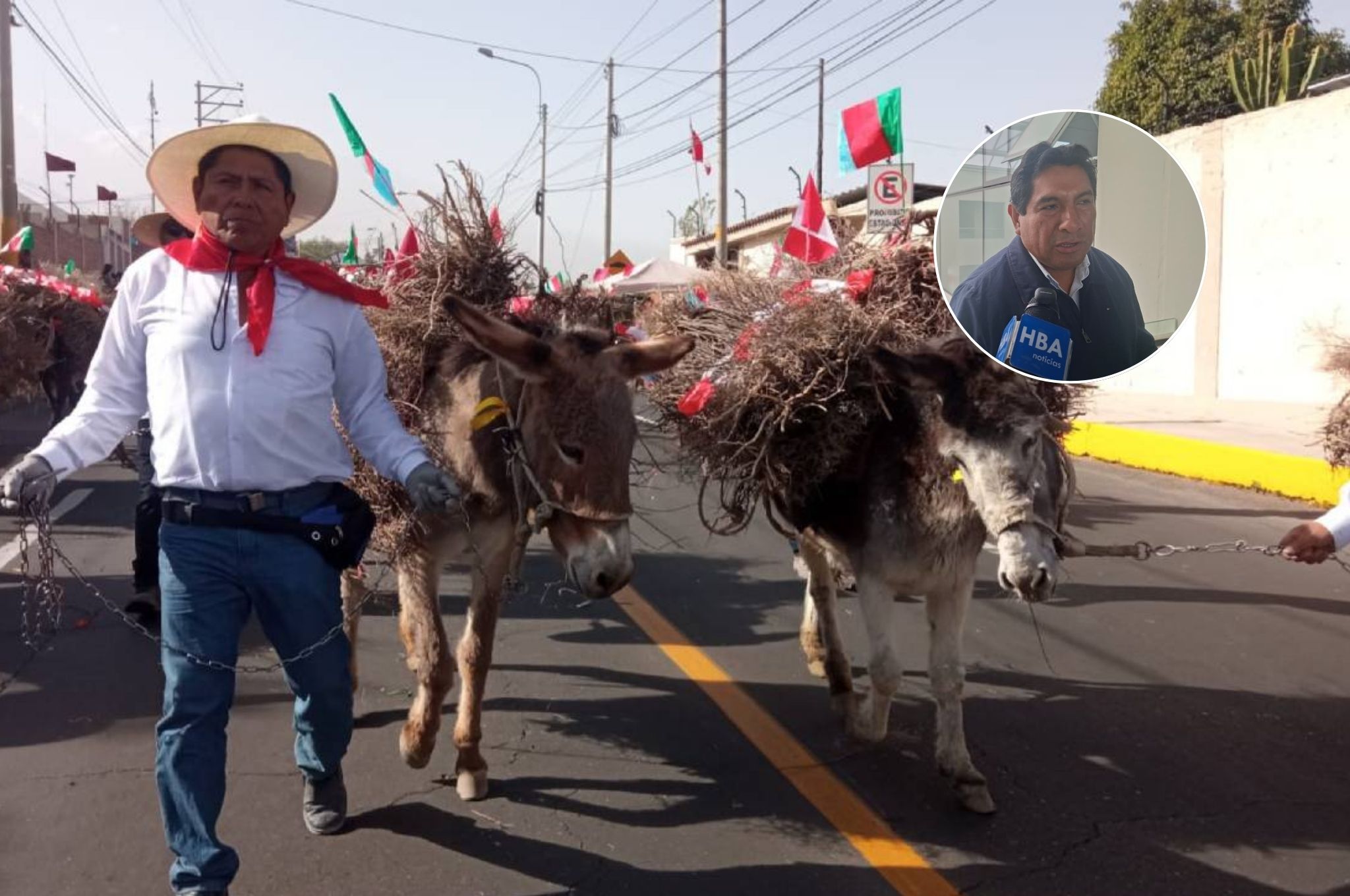 entrada de ccapo