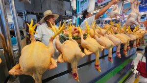 pollo